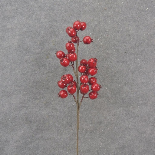 [XA1091] 23" BERRY SPRAY X5 RED