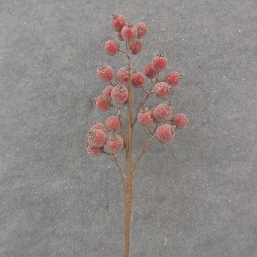 [XA1087] 23" FROSTED BERRY SPRAY X5 RED