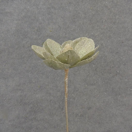 [XA1100-LGN] 17" GLITTER MAGNOLIA BLOOM PICK LIGHT GREEN