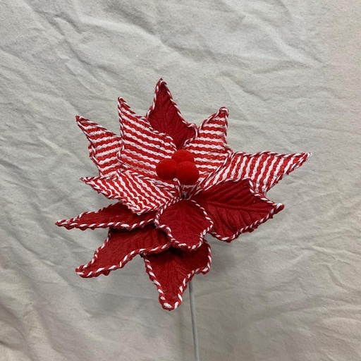 [XA1112] 21" POINSETTIA PICK RED/WHITE MIXED MATERIAL