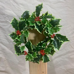 [XB1005-VAR] 4.5&quot; HOLLY CANDLE RING VARIGATED
