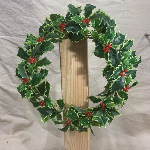 [XB1006-VAR] 10" HOLLY CANDLE RING VARIGATED