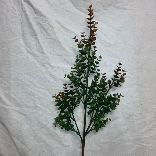 [SBF1017-RGN] 31.5" EUCALYPTUS STEM RED/GREEN