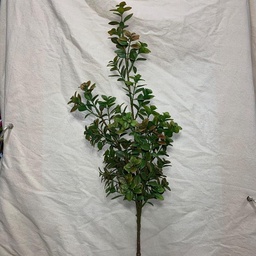 [SBF1018-GRD] 37" EUCALYPTUS STEM GREEN/RED