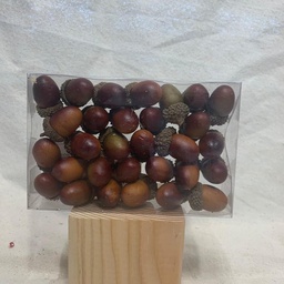 [SHF1013] ASSORTED ACORNS IN BOX