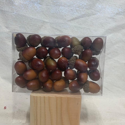 [SHF1013] ASSORTED ACORNS IN BOX