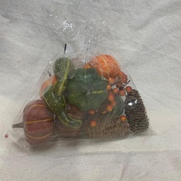 [SHF1002] PUMPKIN, GOURD &amp; CONES IN BAG