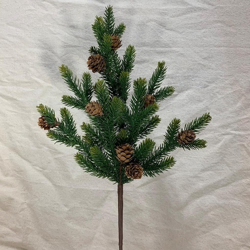 [XB1038] 19" PINE STEM W/ CONE