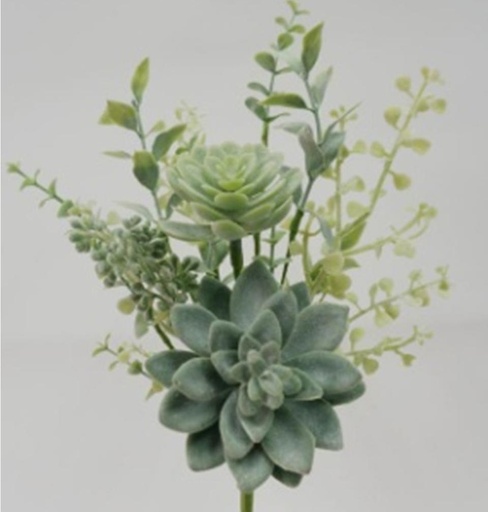 [SA2050-DGN] 14" EUCALYPTUS & SUCCULENT PICK DUSTY GREEN