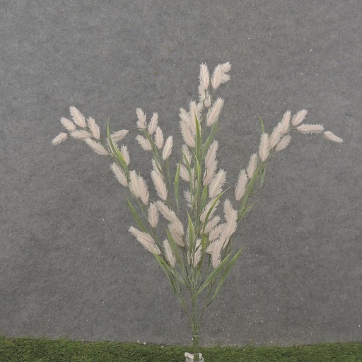 [SB2314-SPK] 22" VERBENA GRASS BUSH SOFT PINK