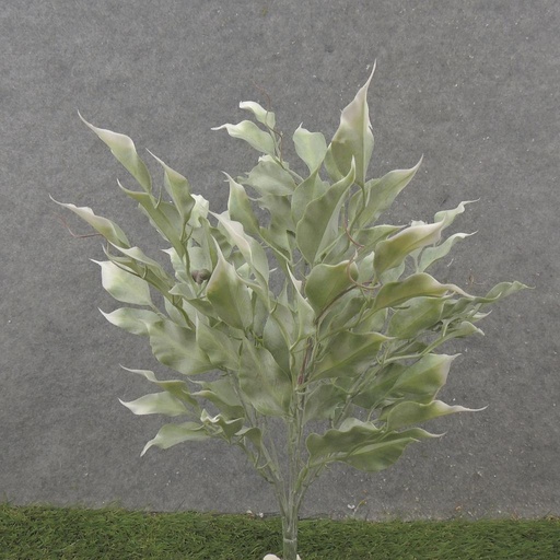 [SB2317-GWH] 16" FICUS LEAF BUSH X5 GREEN/WHITE