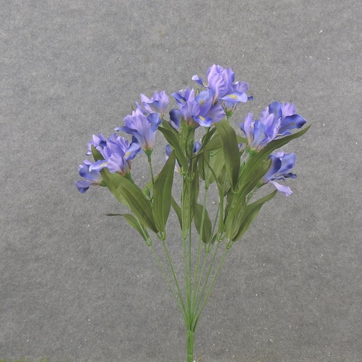 [SB2319-PUR] 18" DUTCH IRIS BUSH X9 PURPLE