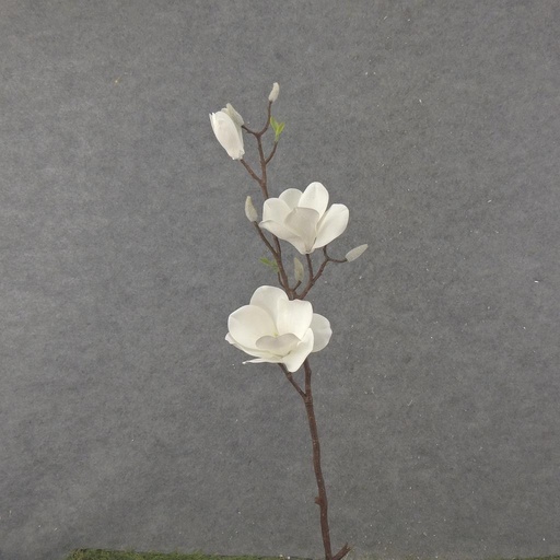 [SB2333-WHT] 31" MAGNOLIA STEM X2 WHITE