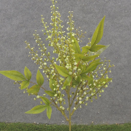 [SE2536-GRN] 16" SEEDED STEM X3 GREEN