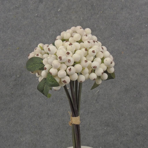 [SB2345-CRM] 11" BERRY BUNDLE X5 CREAM