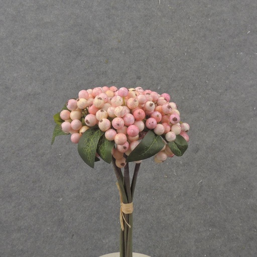 [SB2345-CPK] 11" BERRY BUNDLE X5 CREAM/PINK