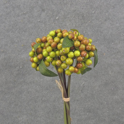 [SB2345-GRD] 11" BERRY BUNDLE X5 GREEN/RED