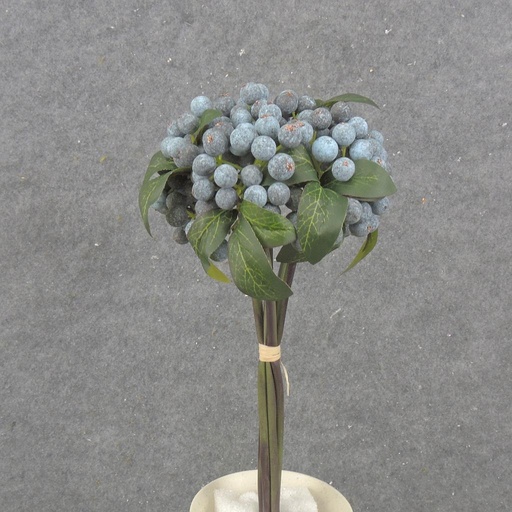 [SB2345-BLU] 11" BERRY BUNDLE X5 BLUE