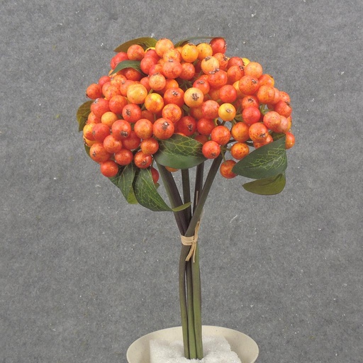 [SB2345-ORY] 11" BERRY BUNDLE X5 ORANGE/YELLOW