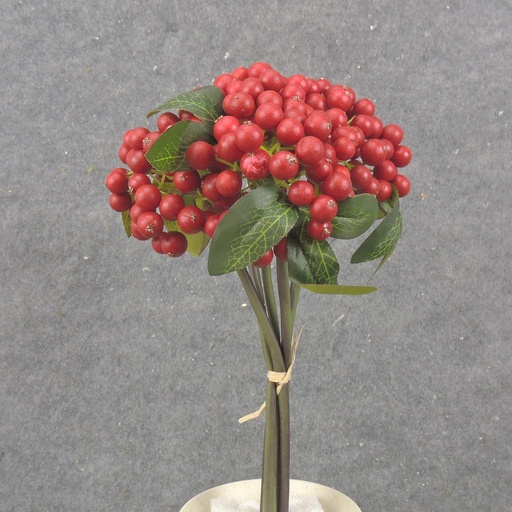 [SB2345-RED] 11" BERRY BUNDLE X5 RED