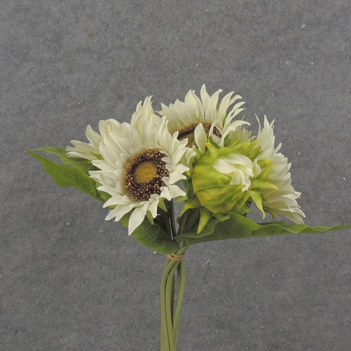 [SB2347] 13" SUNFLOWER BUNDLE X7 CREAM