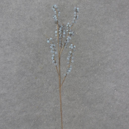 [SB2348-BLU] 39.5" BERRY TWIG SPRAY BLUE