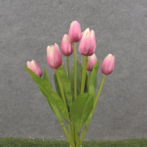 [SB2375-PNK] 16" TULIP BUSH X9 PINK
