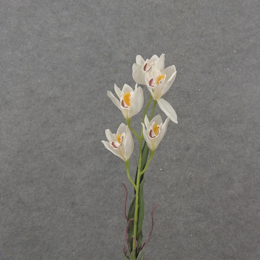 [SB2379-CRM] 23" ORCHID SPRAY X5 CREAM