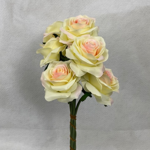 [SE1095-CHA] OPEN ROSE BUNDLE X6 CHAMPAGNE
