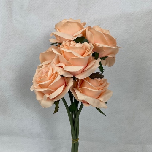 [SE1095-PCH] OPEN ROSE BUNDLE X6 PEACH