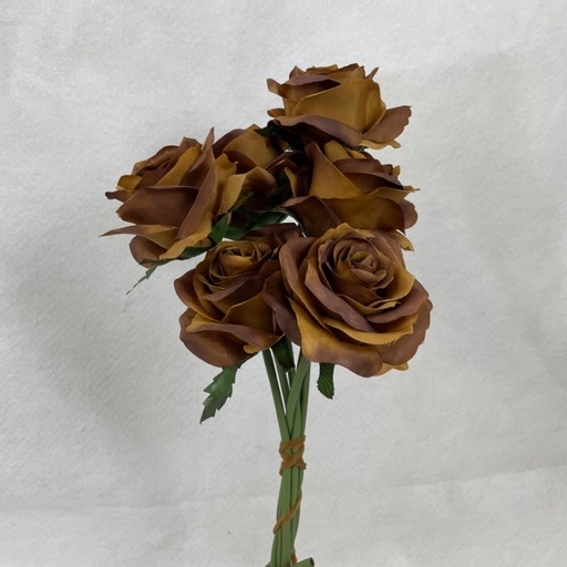 [SE1095-CHO] OPEN ROSE BUNDLE X6 CHOCOLATE