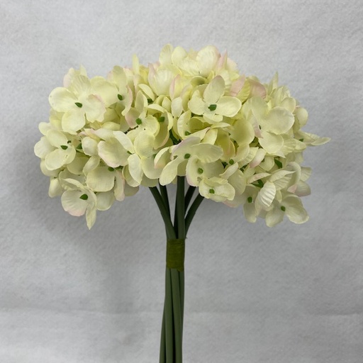 [SE1094-CHA] 11" HYDRANGEA BUNDLE X6 CHAMPAGNE