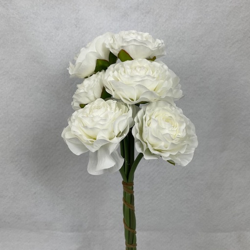 [SE1097-WHT] RANUNCULUS BUNDLE X6 WHITE