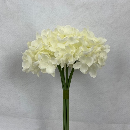 [SE1098-CRM] 11" WAXFLOWER BUNDLE X6 CREAM