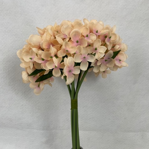 [SE1098-PCH] 11" WAXFLOWER BUNDLE X6 PEACH