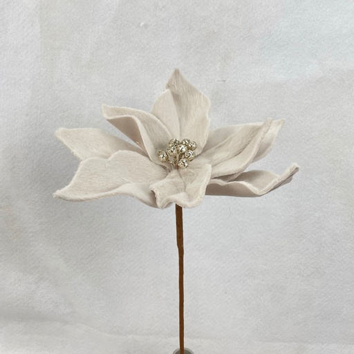 [XA2049-CRM] 13" POINSETTIA PICK GRAY (9"dia)