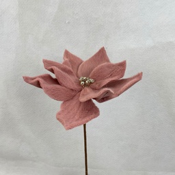 [XA2049-PNK] 13&quot; POINSETTIA PICK PINK (9&quot;dia)