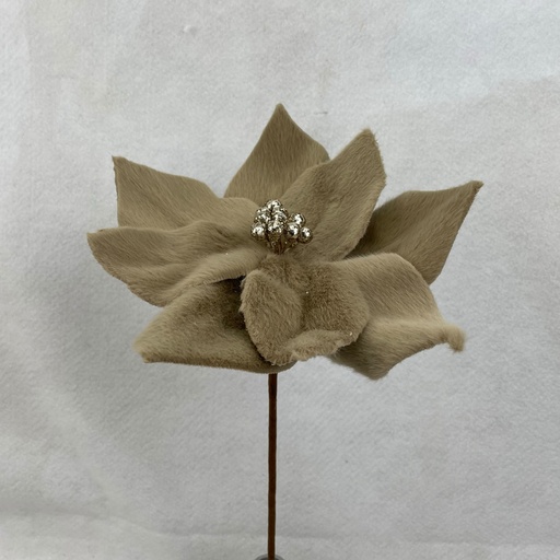 [XA2049-BRN] 13" POINSETTIA PICK TAN (9"dia)