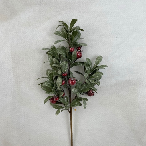 [XA2074] 21" FROSTED MISTLETOE LEAF SPRAY W/ BERRIES