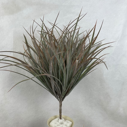[SBF2327-DGN] 19" DUSTY GRASS BUSH DARK GREEN x12