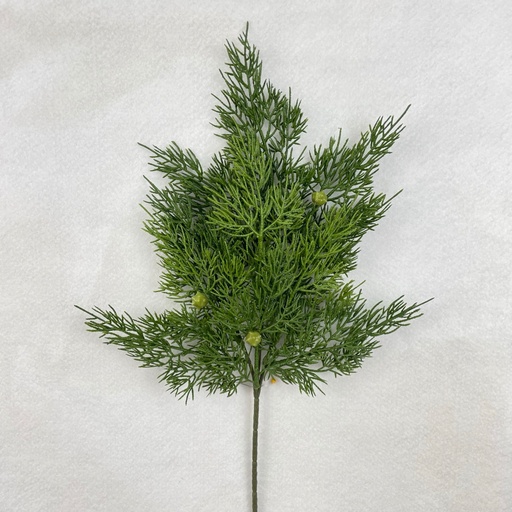 [XB2323] 17.5" CEDAR SPRAY X11 