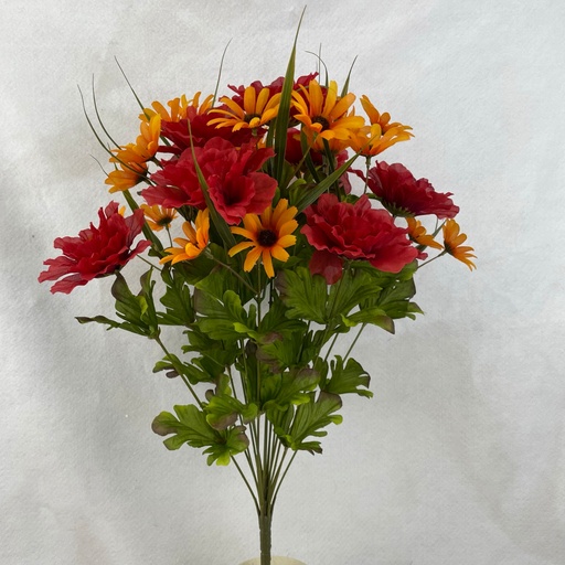 [SEF2512] 21" ZINNIA/DAISY BUSH X18