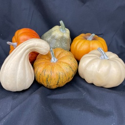 [SHF2803] ASSORTED PUMPKINS 6/BAG ORG/GRN/CRM
