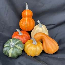 [SHF2806] ASSORTED PUMPKINS MINI 6/BAG ORG/GRN/CRM