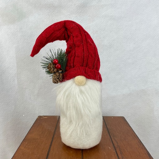 [XH2808-RED] 13" GNOME W/ RED HAT