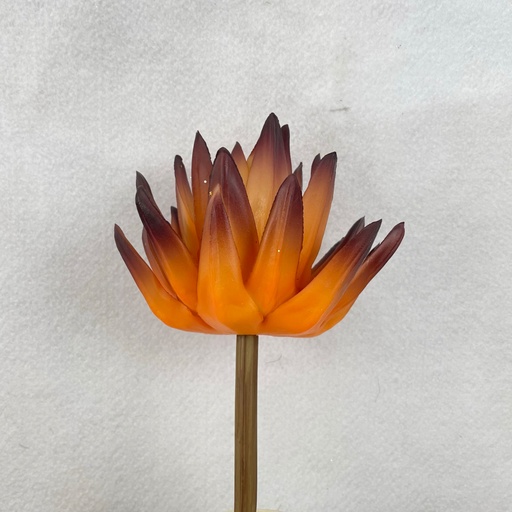 [SEF2515-ORG] 8.5" AGAVE PICK ORANGE