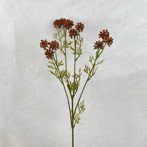 [SEF2518] 33" DRIED ALLIUM SPRAY X3 BROWN