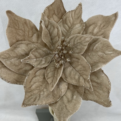 [XA2143-CHA] 20" VELVET POINSETTIA PICK 10" dia CHAMPAGNE