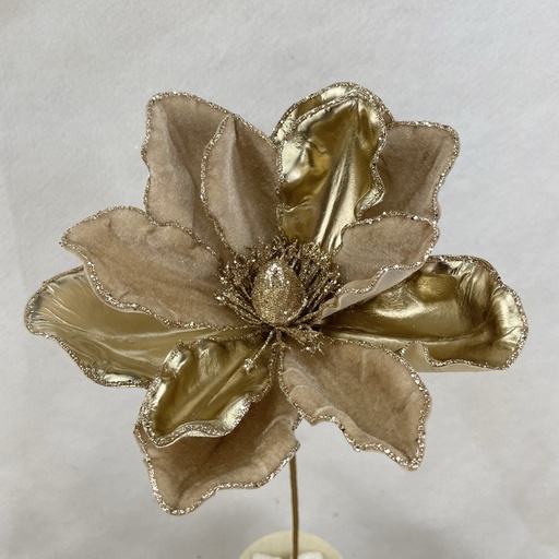 [XA2144-CHA] 20" MAGNOLIA BLOOM PICK 8" dia CHAMPAGNE