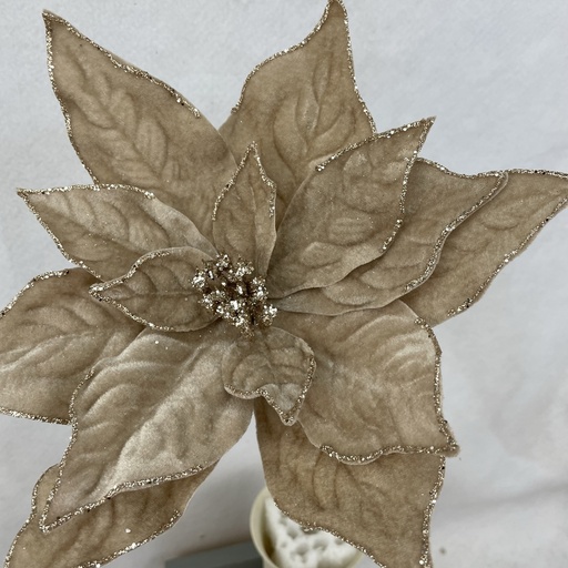 [XA2146-CHA] 20" VELVET POINSETTIA PICK 10" dia W/GLITTER CHAMPAGNE